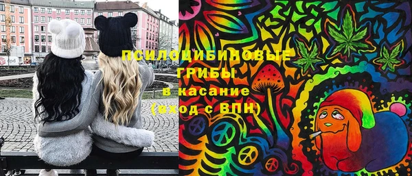 МДМА Карпинск