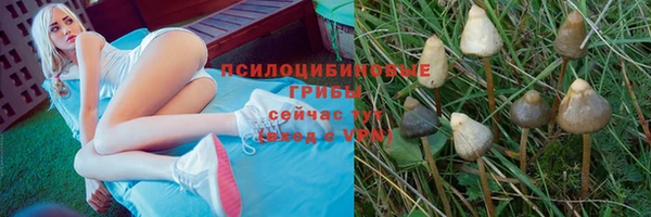 а пвп мука Касимов