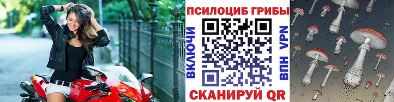 Купить закладки Унеча Галлюциногенные грибы Psilocybe